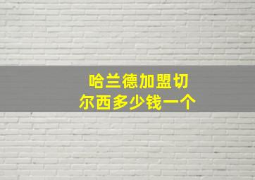 哈兰德加盟切尔西多少钱一个