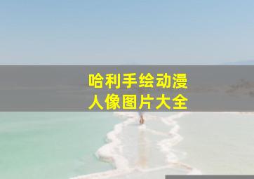 哈利手绘动漫人像图片大全