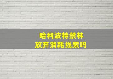 哈利波特禁林放弃消耗线索吗