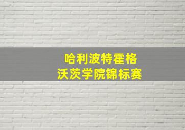 哈利波特霍格沃茨学院锦标赛