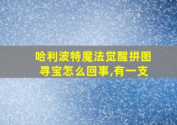 哈利波特魔法觉醒拼图寻宝怎么回事,有一支