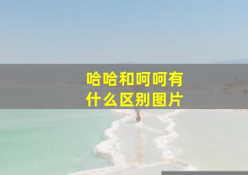 哈哈和呵呵有什么区别图片