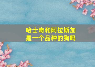 哈士奇和阿拉斯加是一个品种的狗吗