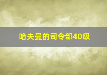 哈夫曼的司令部40级