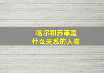 哈尔和苏菲是什么关系的人物