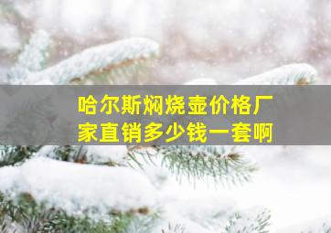 哈尔斯焖烧壶价格厂家直销多少钱一套啊