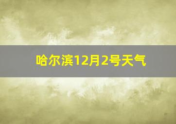 哈尔滨12月2号天气