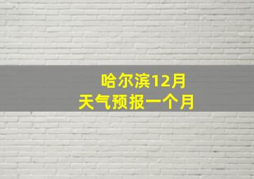 哈尔滨12月天气预报一个月