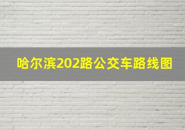 哈尔滨202路公交车路线图