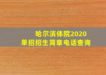 哈尔滨体院2020单招招生简章电话查询