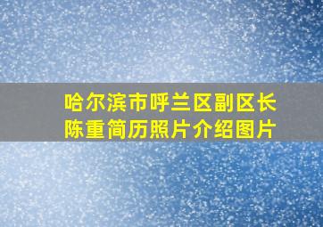 哈尔滨市呼兰区副区长陈重简历照片介绍图片