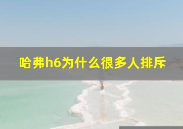 哈弗h6为什么很多人排斥