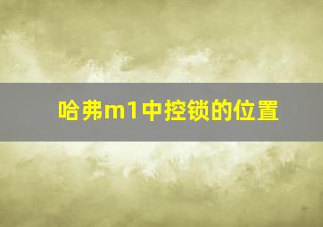 哈弗m1中控锁的位置