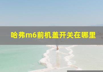 哈弗m6前机盖开关在哪里