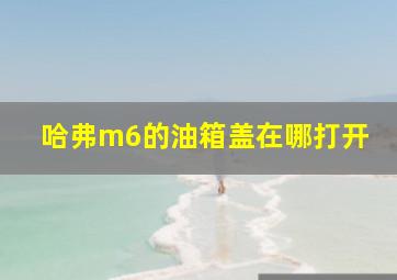 哈弗m6的油箱盖在哪打开