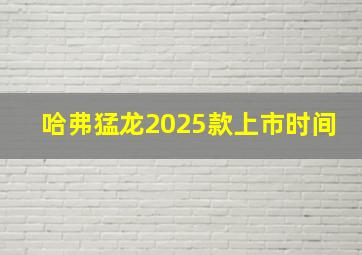 哈弗猛龙2025款上市时间