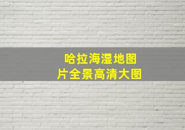 哈拉海湿地图片全景高清大图