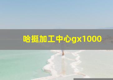 哈挺加工中心gx1000