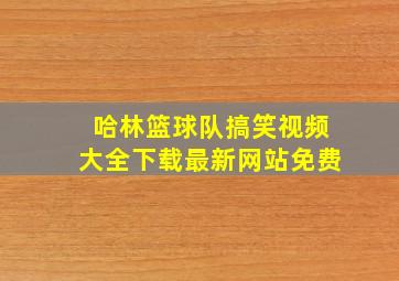 哈林篮球队搞笑视频大全下载最新网站免费