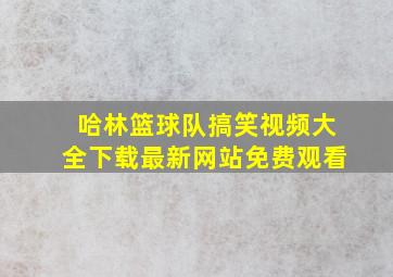 哈林篮球队搞笑视频大全下载最新网站免费观看