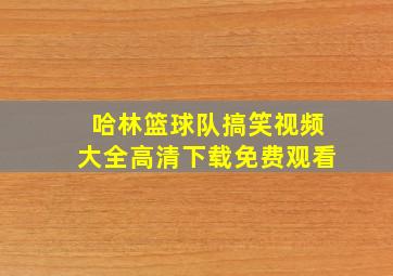 哈林篮球队搞笑视频大全高清下载免费观看