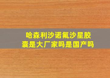 哈森利沙诺氟沙星胶囊是大厂家吗是国产吗