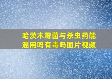 哈茨木霉菌与杀虫药能混用吗有毒吗图片视频