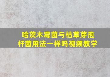 哈茨木霉菌与枯草芽孢杆菌用法一样吗视频教学