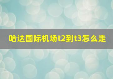 哈达国际机场t2到t3怎么走