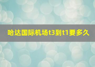 哈达国际机场t3到t1要多久