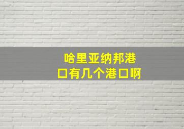 哈里亚纳邦港口有几个港口啊