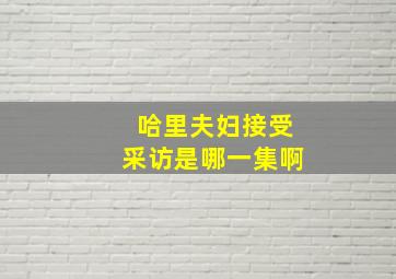 哈里夫妇接受采访是哪一集啊