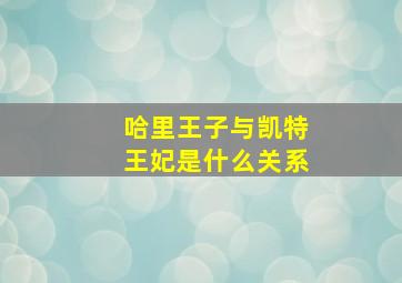 哈里王子与凯特王妃是什么关系