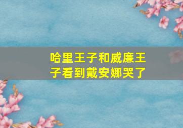 哈里王子和威廉王子看到戴安娜哭了