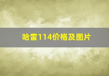 哈雷114价格及图片