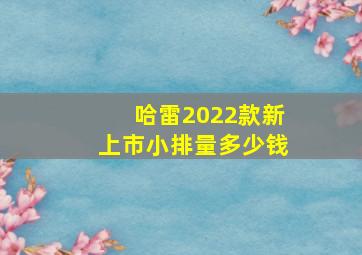 哈雷2022款新上市小排量多少钱