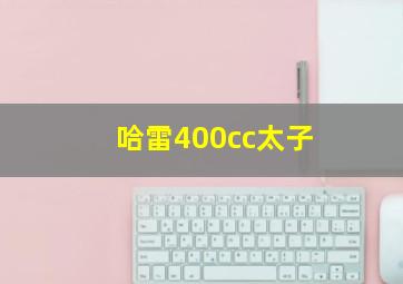 哈雷400cc太子