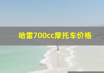 哈雷700cc摩托车价格