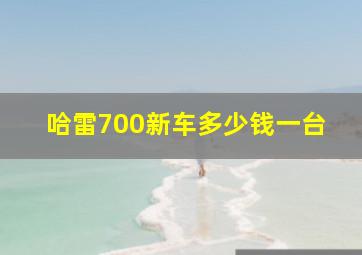 哈雷700新车多少钱一台