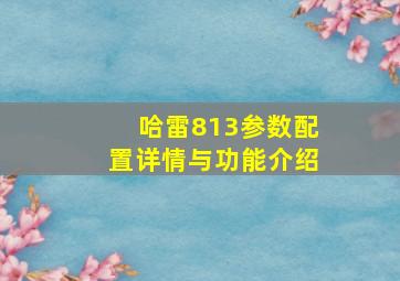 哈雷813参数配置详情与功能介绍