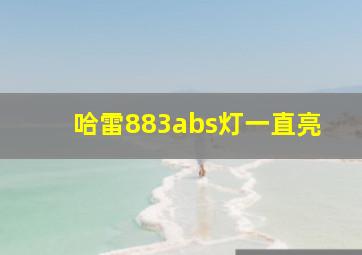 哈雷883abs灯一直亮