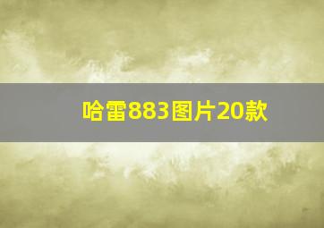 哈雷883图片20款