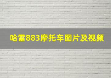 哈雷883摩托车图片及视频