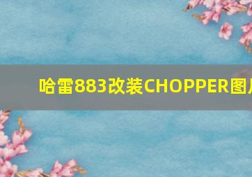 哈雷883改装CHOPPER图片