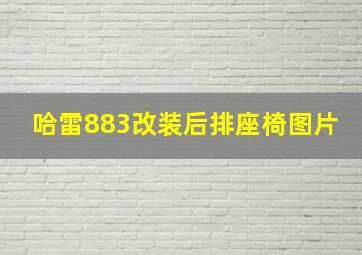 哈雷883改装后排座椅图片