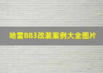 哈雷883改装案例大全图片