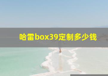 哈雷box39定制多少钱