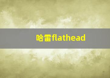 哈雷flathead