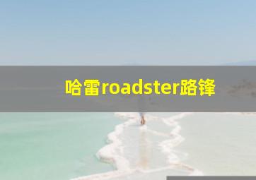 哈雷roadster路锋