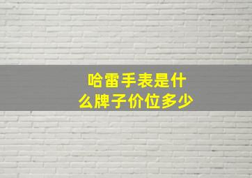 哈雷手表是什么牌子价位多少